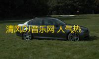 清风DJ音乐网 人气热度：588℃
